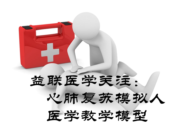 心肺復(fù)蘇模擬人