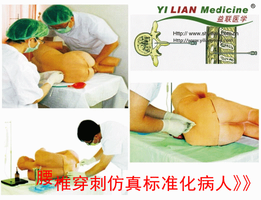 腰椎穿刺仿真標(biāo)準(zhǔn)化病人