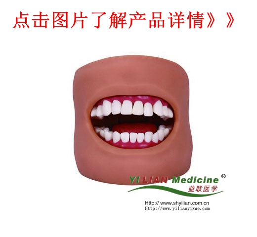 �߼���ǻ�o(h��)��ģ��