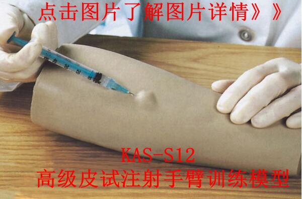 高級皮試注射手臂模型