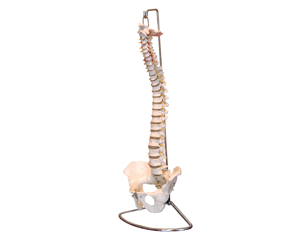 �����ǎ�����