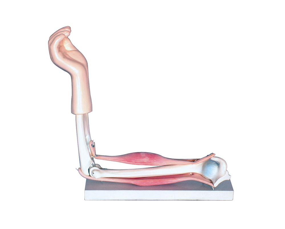 ���P(gu��n)��(ji��)