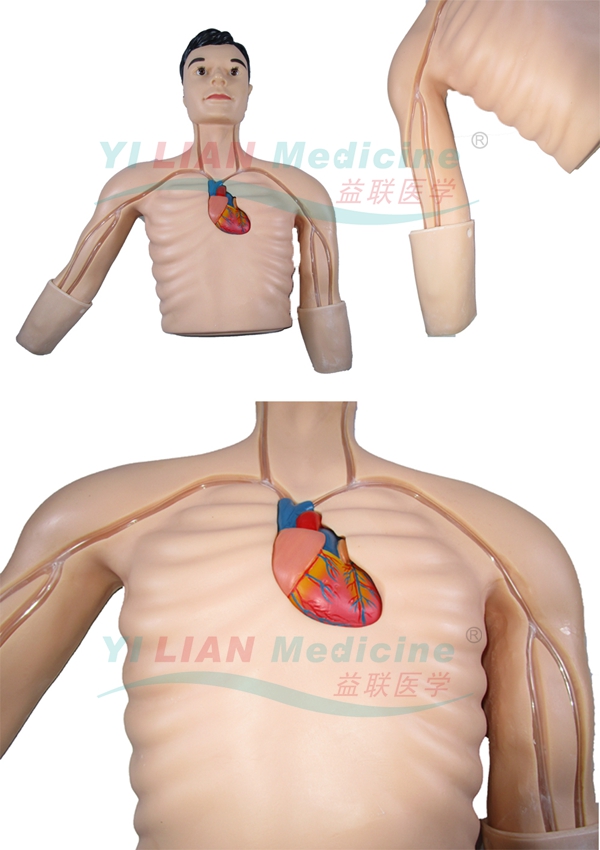 PICC����ģ��